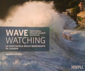 Wave Watching