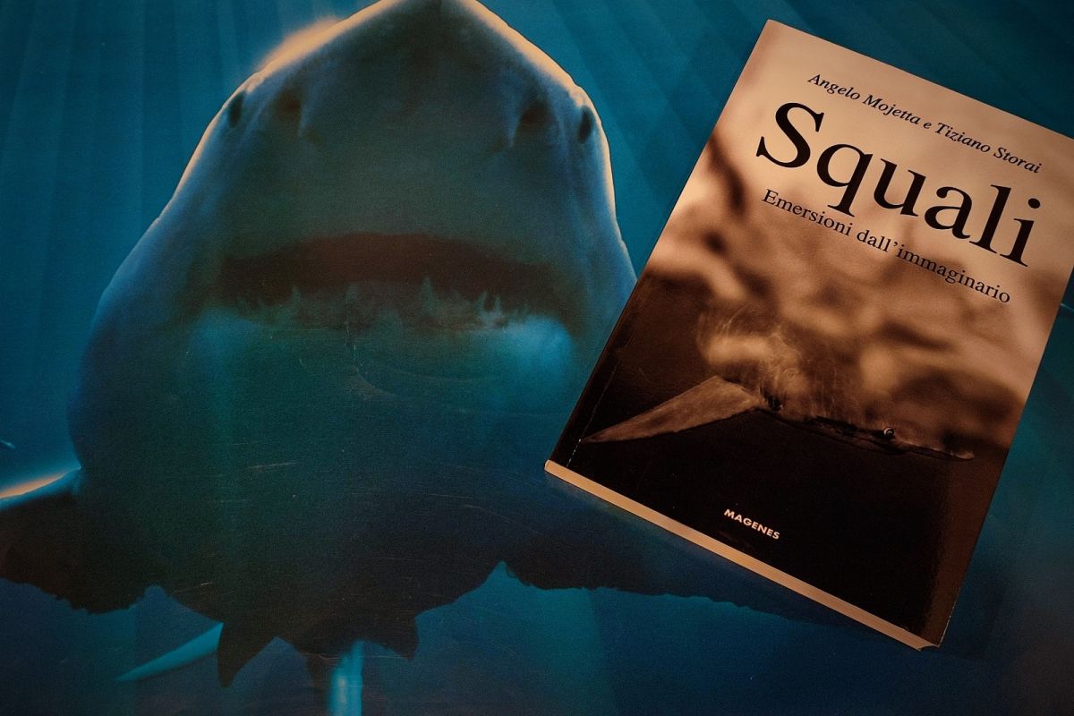Squali | La presentazione in libreria - Eventi dal Blog del Mare