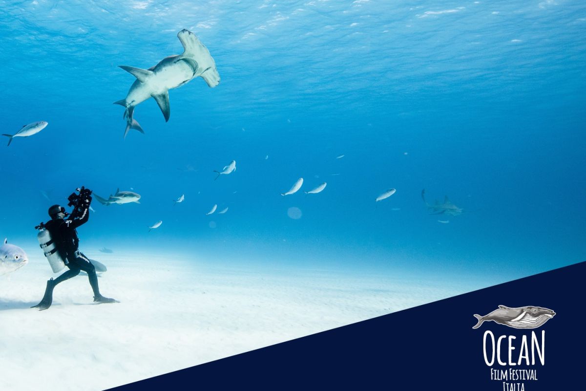 Ocean Film Festival Italia 2021, La Libreria del Mare