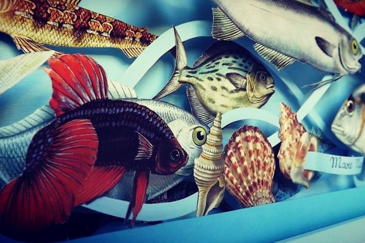 Simona Cozzupoli, contemplatrice di idee - Arte del Blog del Mare