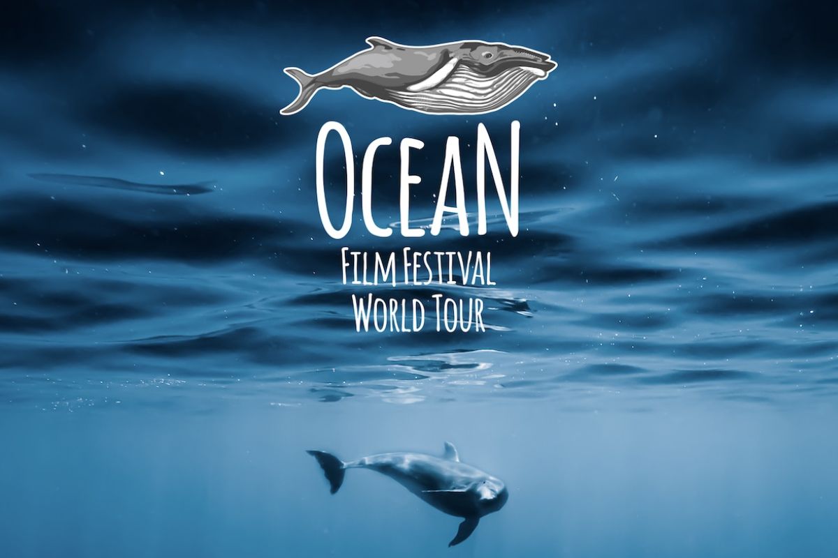 Ocean Film Festival Italia 2022 - Eventi dal Blog del Mare