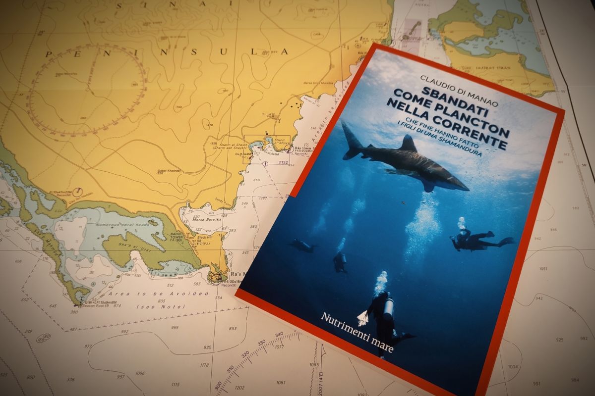 Sbandati come plancton nella corrente: presentazione in libreria - Eventi dal Blog del Mare