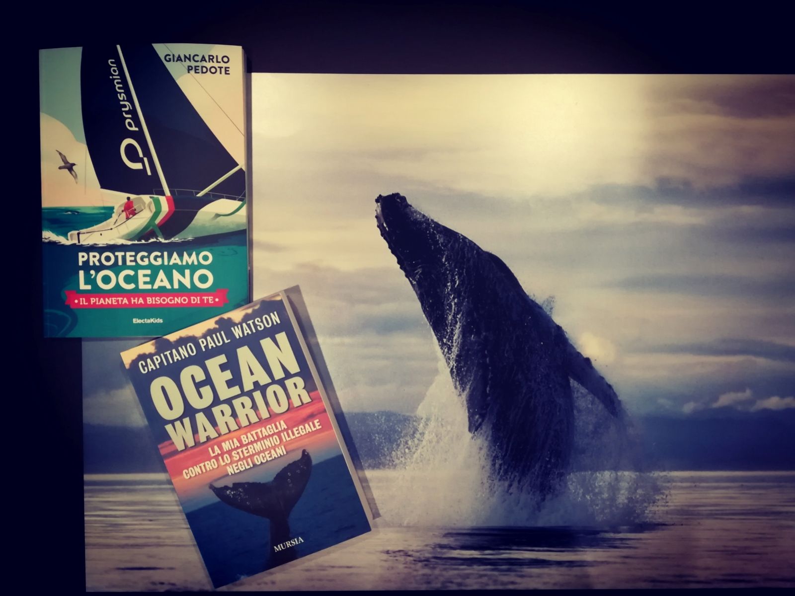 Sea Shepherd e Giancarlo Pedote in difesa del mare - Eventi dal Blog del Mare