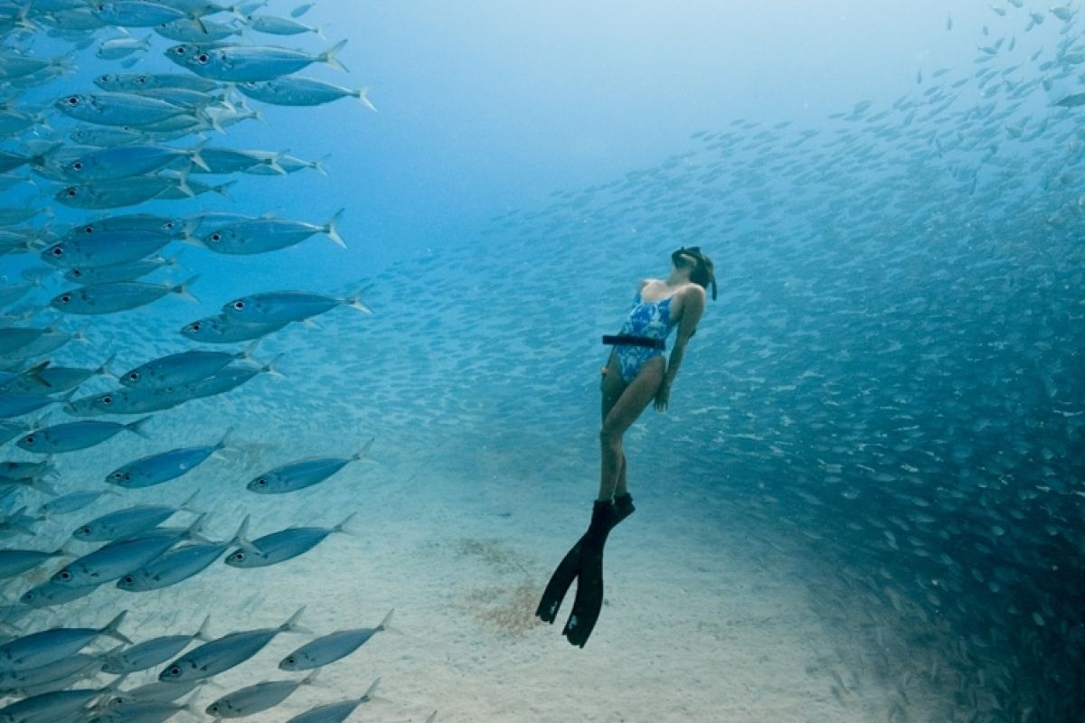 Ocean Film Festival - Travis Burke