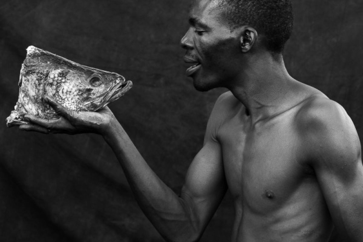 Passage through DAR - Carlo Mari