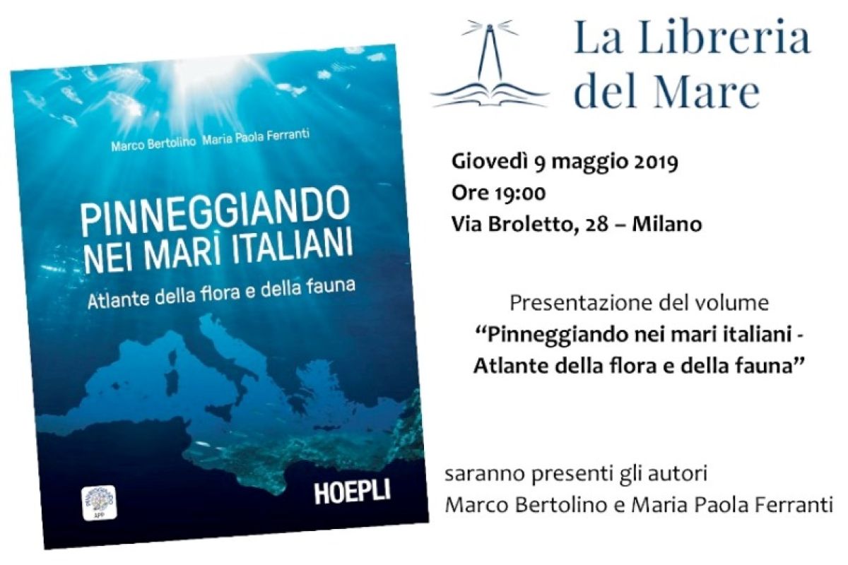 Pinneggiando nei mari italiani - Marco Bertolino, Maria Paola Ferranti - Hoepli