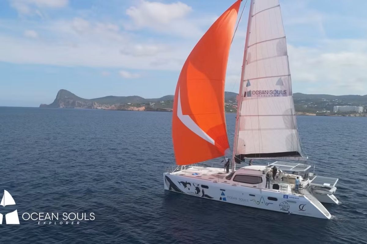 Esploratori dell'anima degli oceani - News dal Blog del Mare